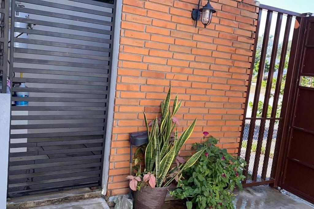 Villa Casa Totalmente Nueva,2 Cuartos 2 Banos -Muy Segura Colima Exterior foto